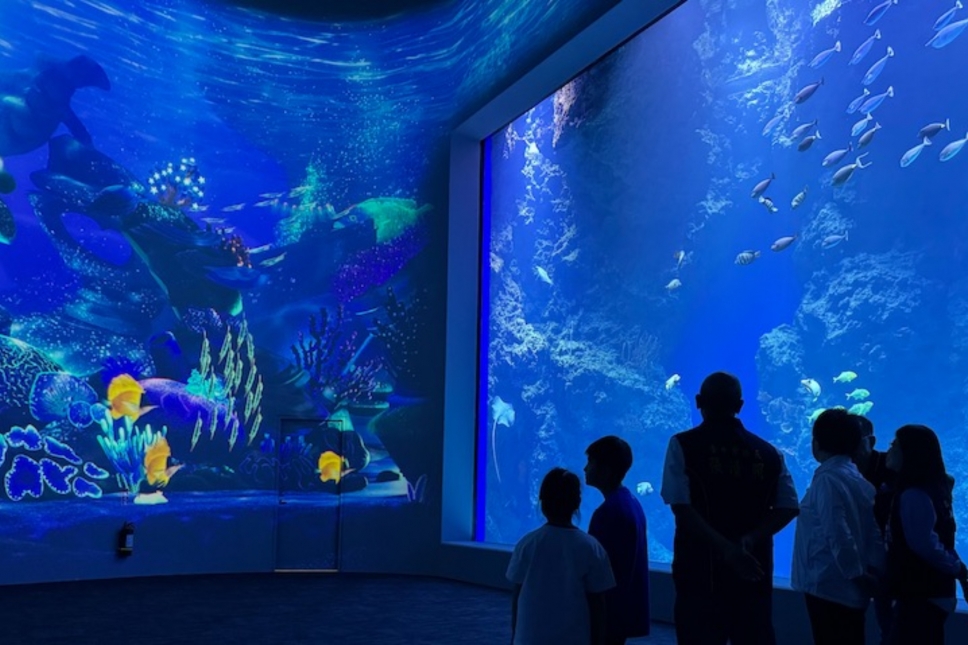 台中海洋館今日盛大開幕!打造中部旅遊最新亮點