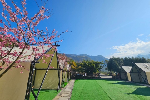 乍暖還寒,泡湯正當時:來趟溫泉療癒之旅